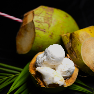 Coconut Ice Cream